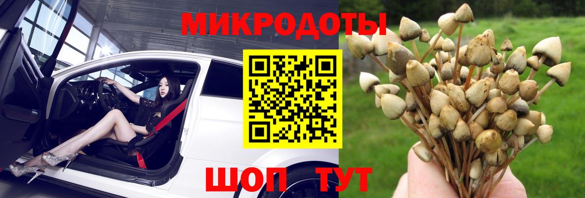 Галлюциногенные грибы Magic Shrooms Сегежа